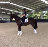 Arena Safety Wall - Black